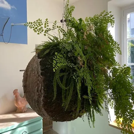 La Provence Centre Ville, Piscine, Jardin, Terrasse Daire