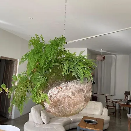 Апартаменты La Provence Centre Ville, Piscine, Jardin, Terrasse Ним