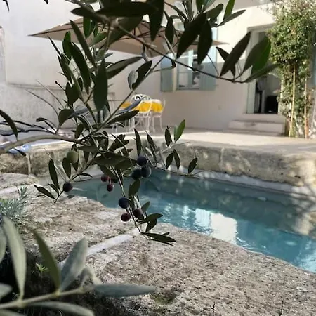 La Provence Centre Ville, Piscine, Jardin, Terrasse Apartment Nimes
