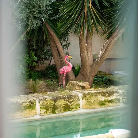 La Provence Centre Ville, Piscine, Jardin, Terrasse *