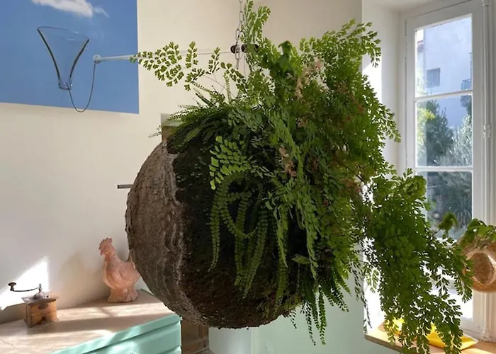 La Provence Centre Ville, Piscine, Jardin, Terrasse Apartament