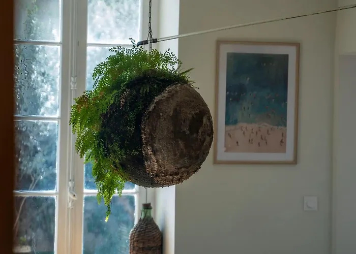 La Provence Centre Ville, Piscine, Jardin, Terrasse Nîmes