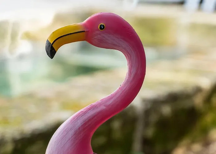 La Provence Centre Ville, Piscine, Jardin, Terrasse * Nîmes