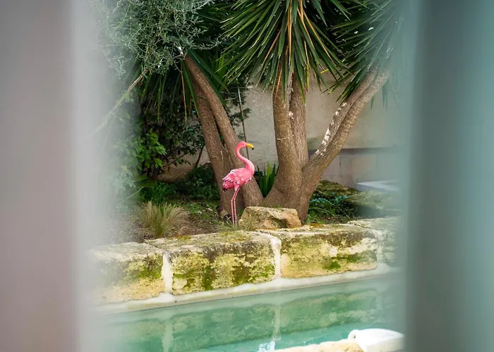 La Provence Centre Ville, Piscine, Jardin, Terrasse *